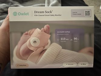 Baby owlet