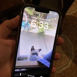 selling a iphone 14 its in 10/10 condition asking for 500 obo 