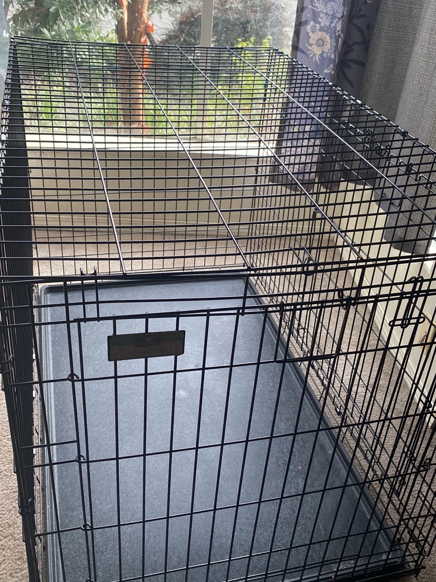 Dog kennel -pending Pick Up