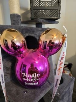 Disneyland Popcorn Buckett