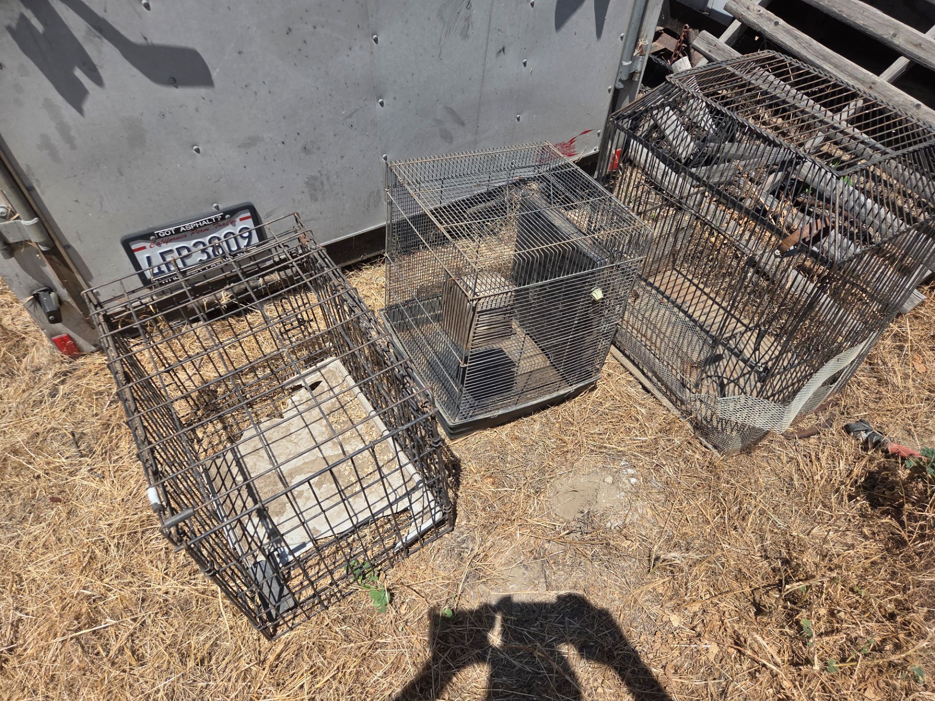 Bird cages $15