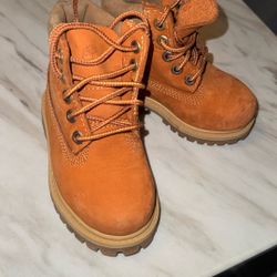Timberlands 6C