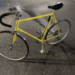 Vintage Schwinn Le tour Bicycle (xl)