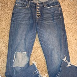 Torrid Jeans Size 12T ( Fits Like 14)