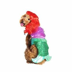 Dog mermaid costume