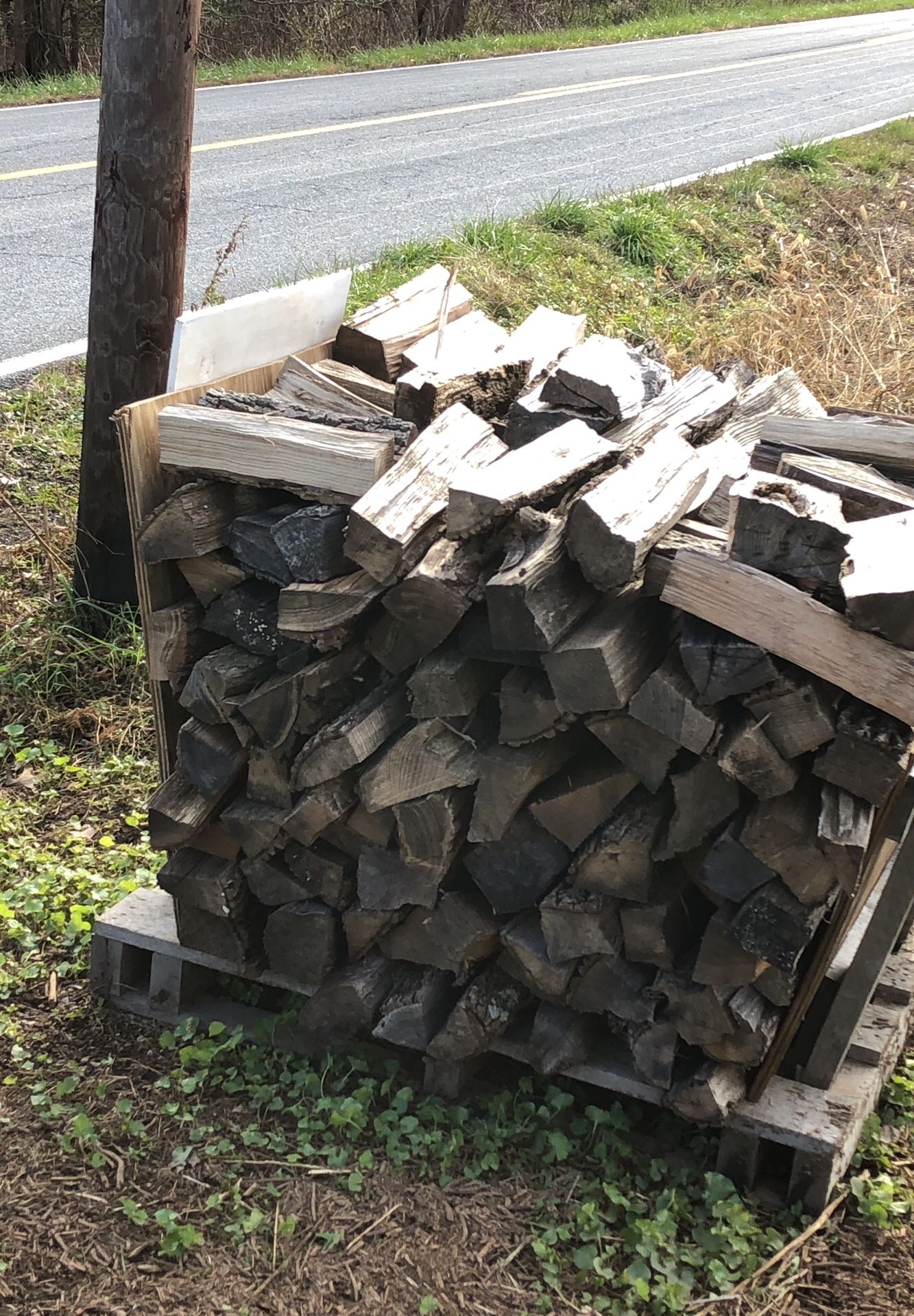 Firewood