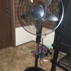 Fan 