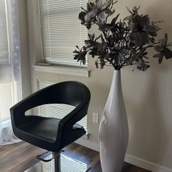 Salon Chair