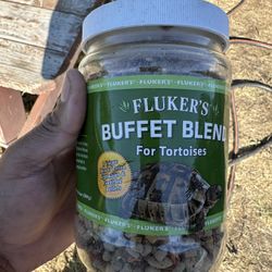 Free tortoise food