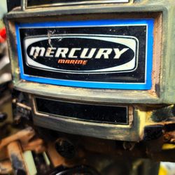 Mercury 110 9 8hp Outboard 