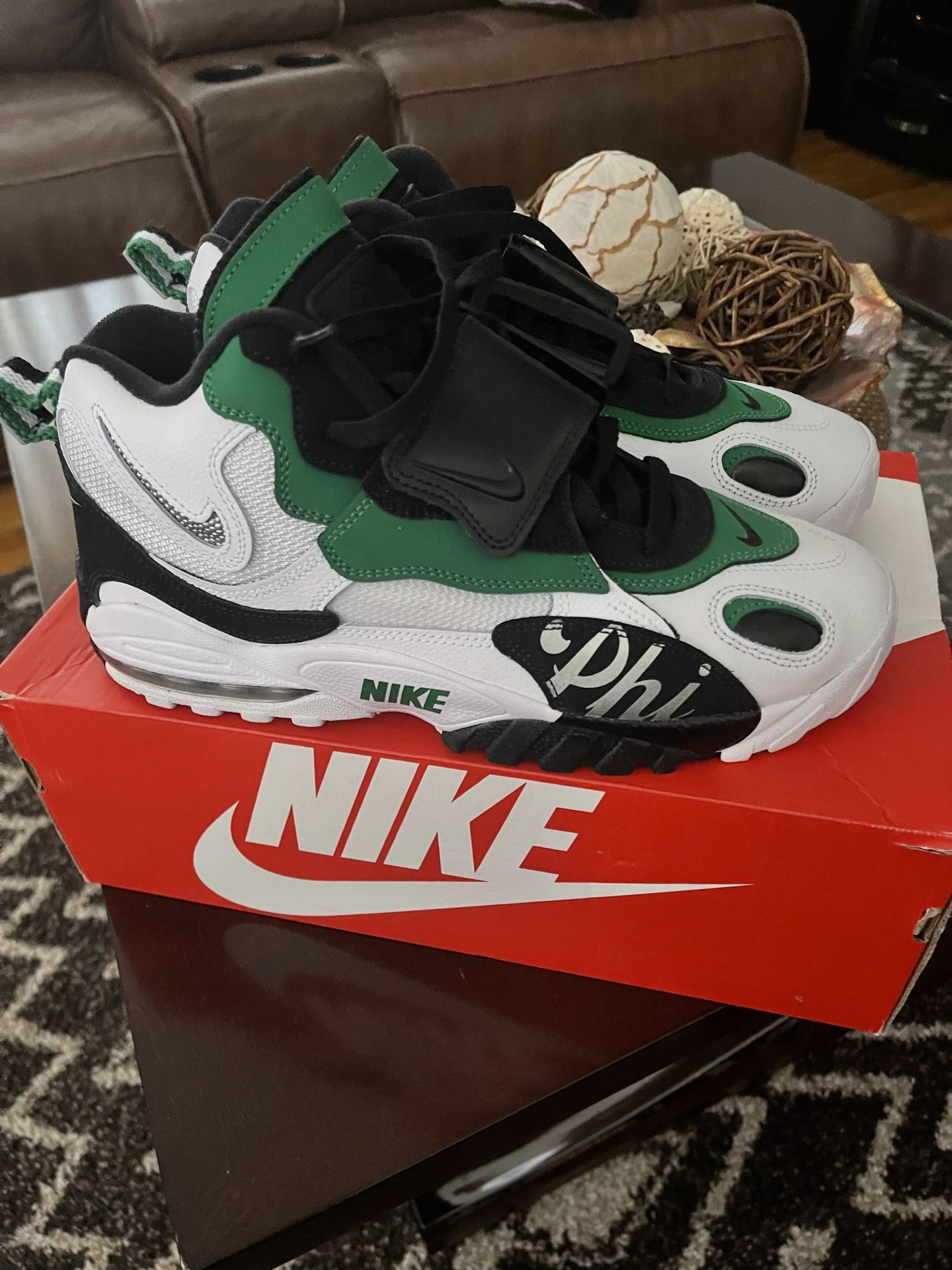 Nike Philadelphia Eagles Shoes