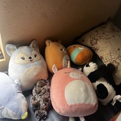Stuffed Animals 