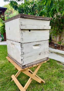 Beekeeping Bee Boxes with Frames