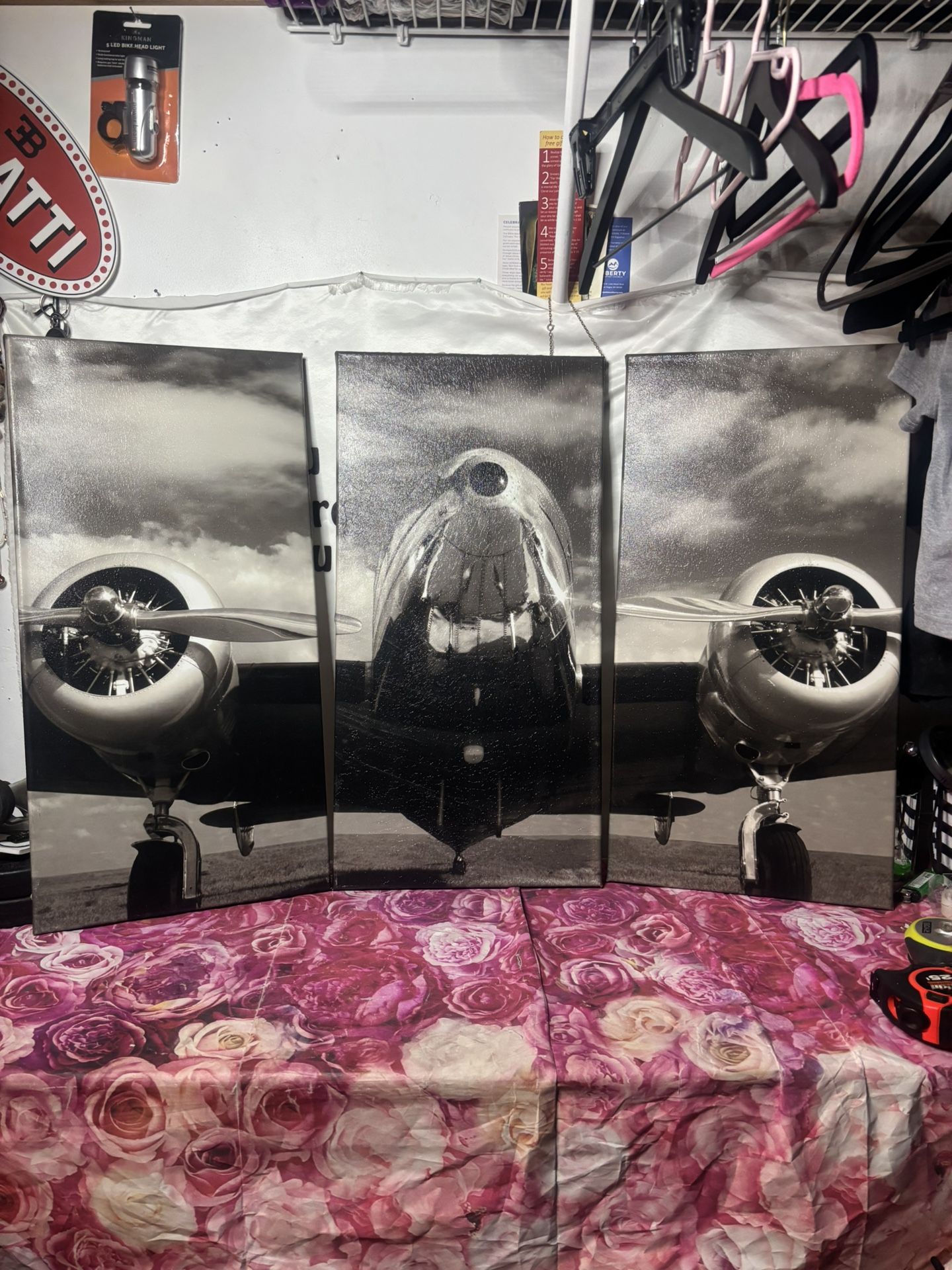 Matt McCartney Canvas Plane Wall Art Set