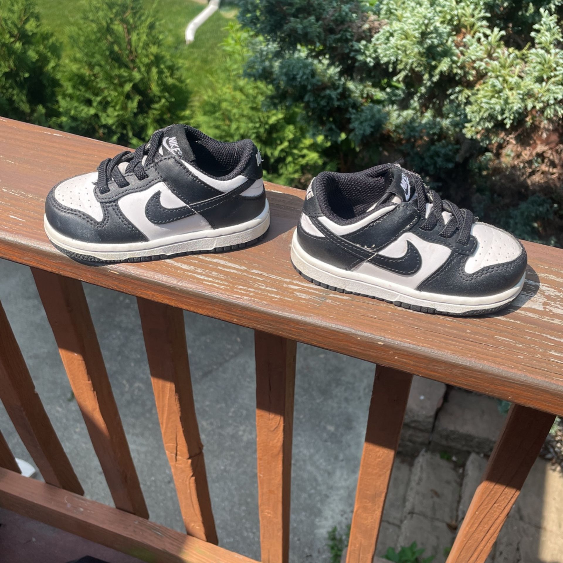 Toddler Nike Dunks Sz 6