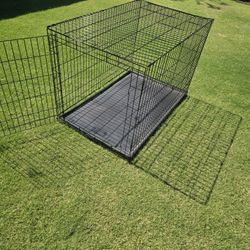XL Dog Crate. Excellent Condition. No Rust.