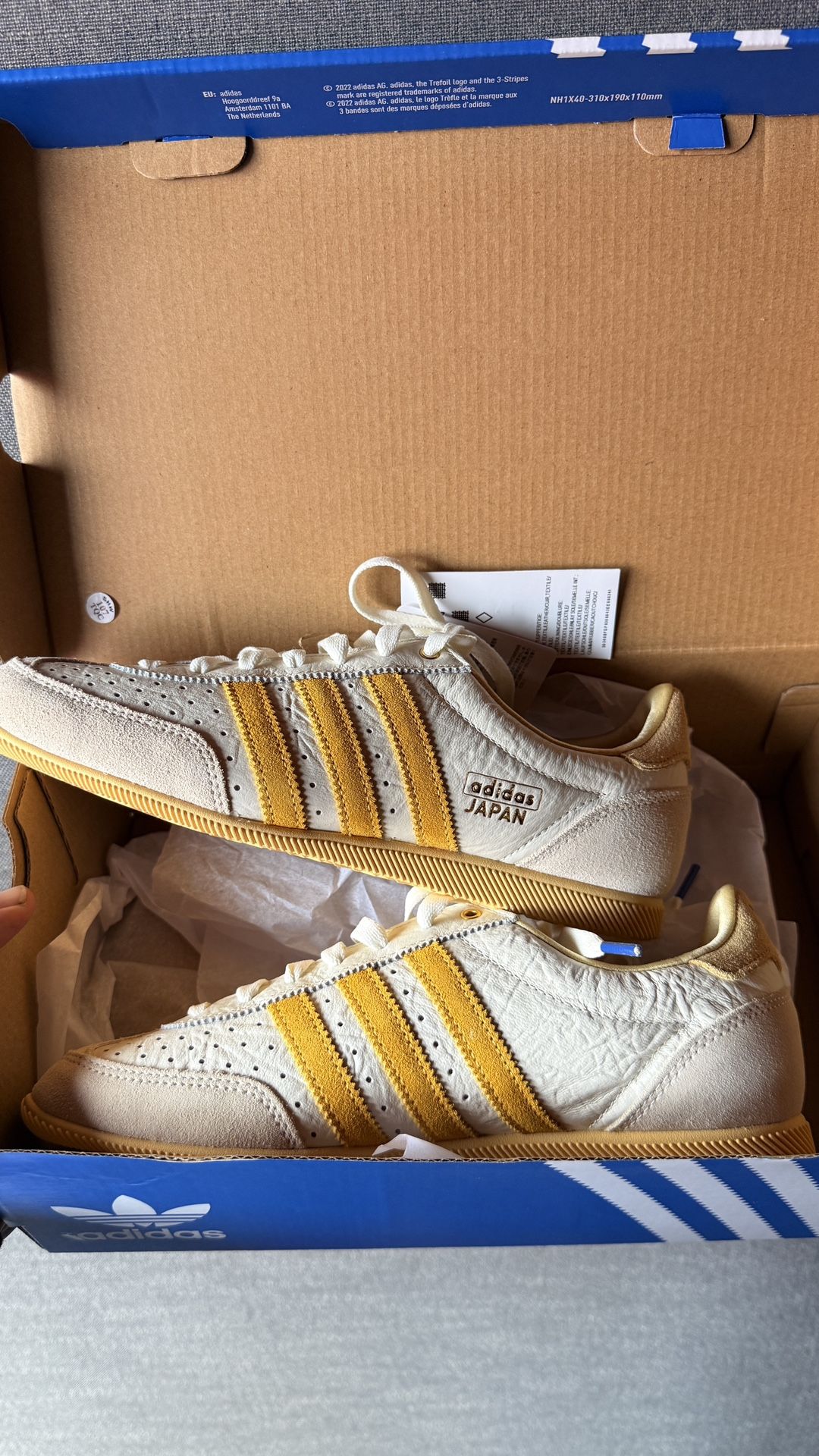 Adidas Shoes 
