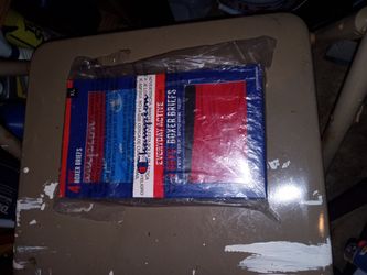 Champion Boxer Briefs 