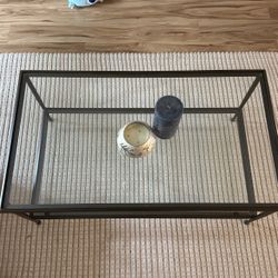 West Elm Living Room Table 