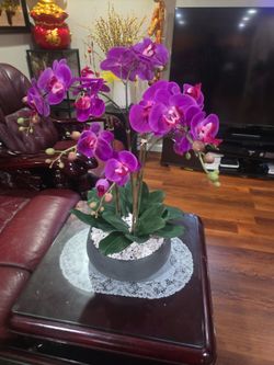 Fake Orchid