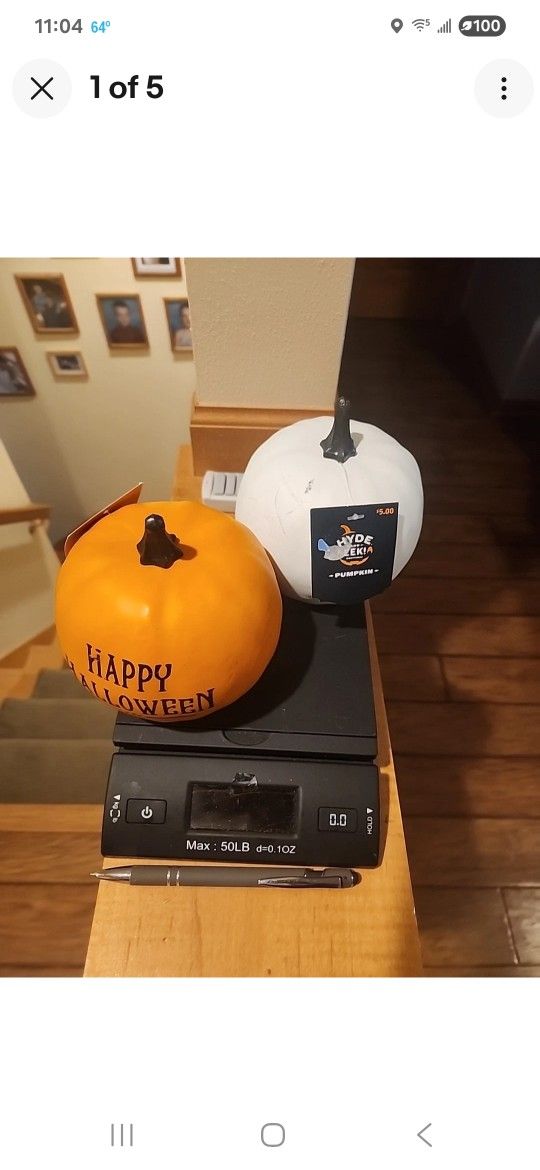 Small Pumpkin Lot 