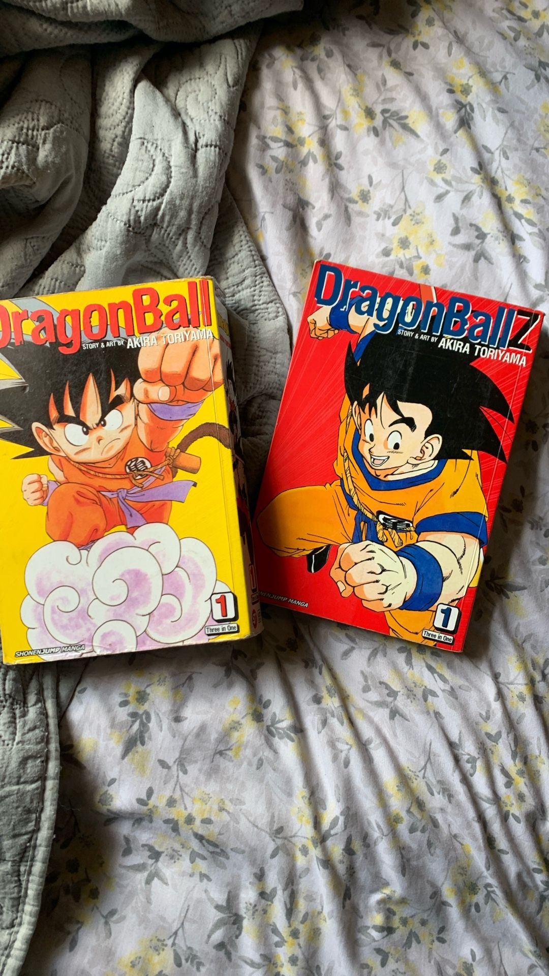 DragonBall And DragonBallZ First Volume Both
