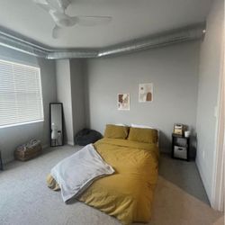Queen Mattress 