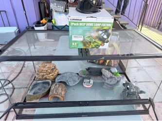 40 gallon reptile tank/accessories