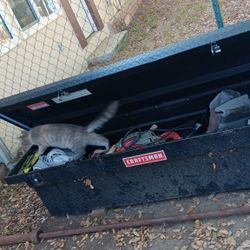 Tool Box
