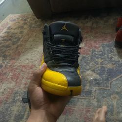 Air Jordan 12 Retro University
