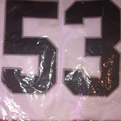 Selling A Brand New Nike Jersey Amari Gainer 53