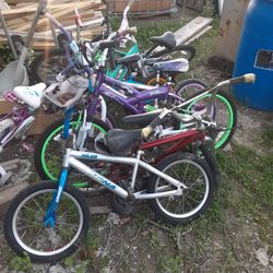 13 Bikes Must Take All For One Money