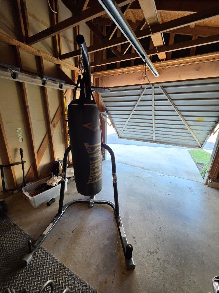 Everlast Punching Bag