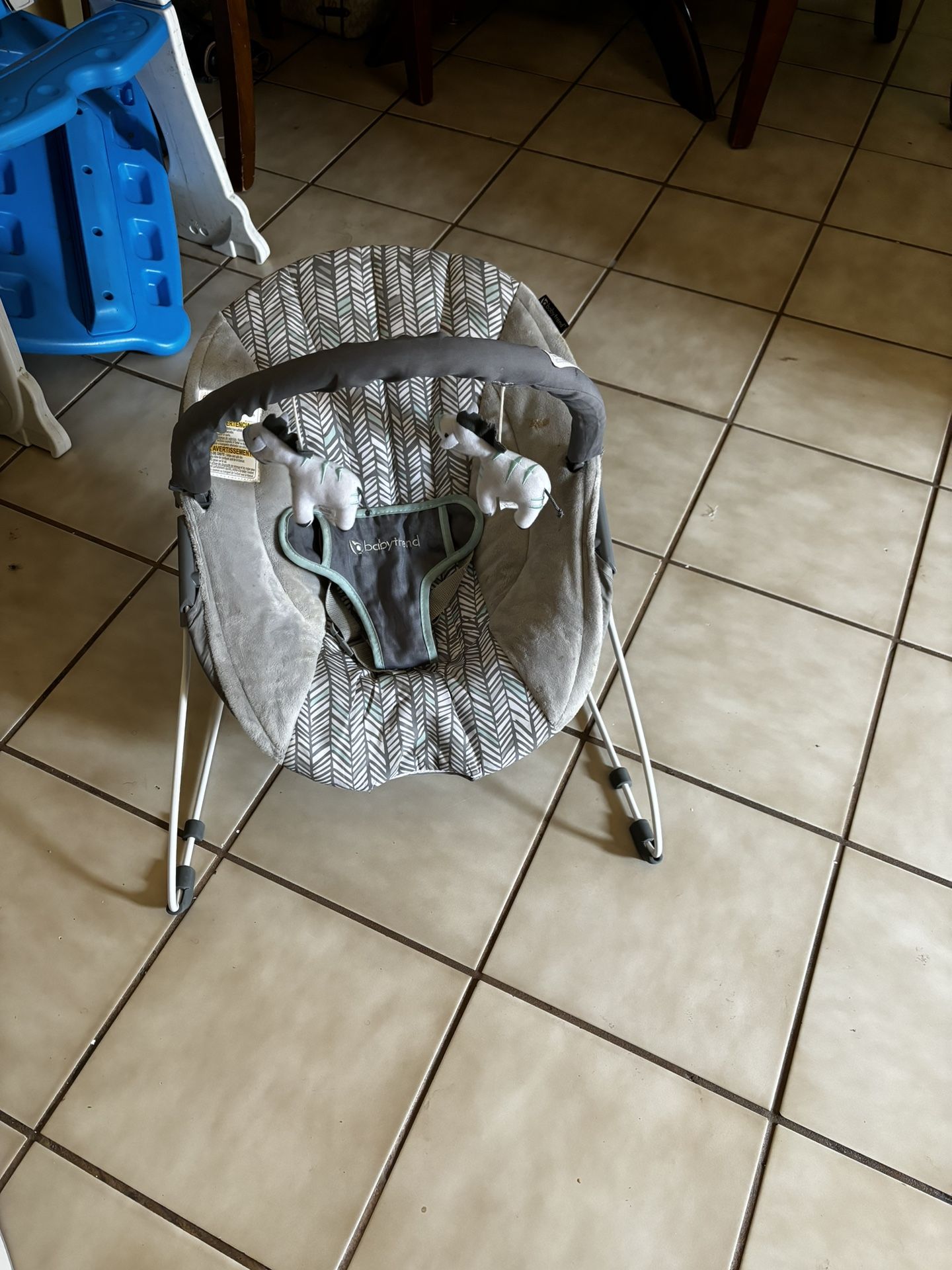 Baby Trend Bouncer