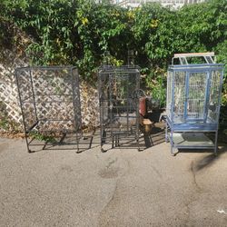 Parrot cages