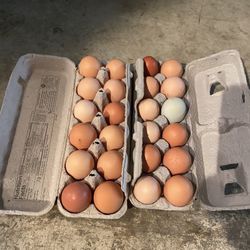 Farm Fresh Eggs