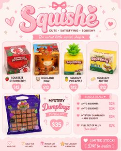 Squishy (mystery dumplings )