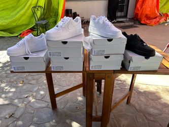 Shoes /Low Sneakers