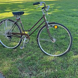 1975 Schwinn Suburban Vintage Cruiser Bike 53cm Small 5 Speed