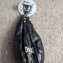 everlast speed bag with  hinge