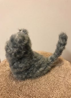 For American girl cats