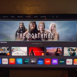 75" Vizio P-Series  P75F1