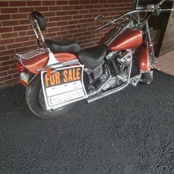 1991 Harley Davidson soft tail