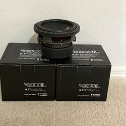 6.5 Subwoofer 