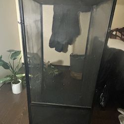 Zoo Med XL Enclosure 4ft Tall (Need Gone Send Offers)