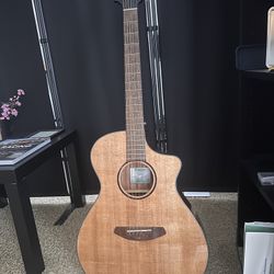 Acoustic Electric Guitar, Breedlove Discovery S ECO Concert CE