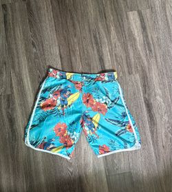 DC Superman Swim Trunks Board Shorts Hawaiian Tropical