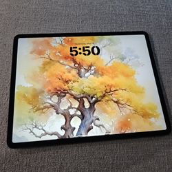 iPad Pro 12.9" 