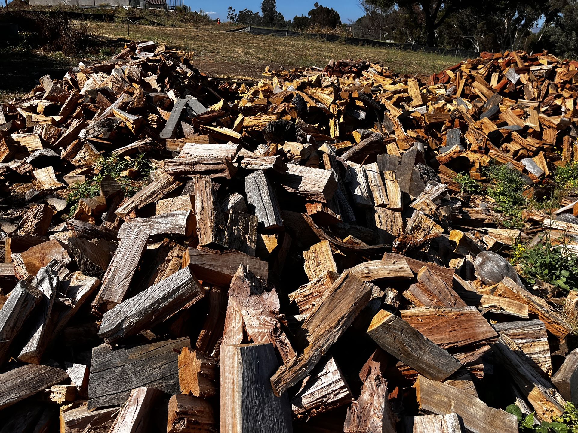 Firewood 