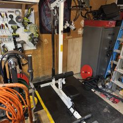 Lat Pull down Low Row 